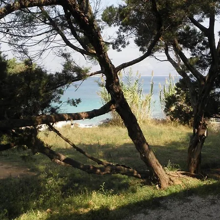 Апартаменты House