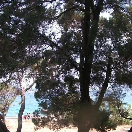 House Апартаменты Лумбарда